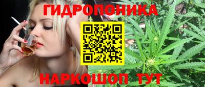 ГАЛЛЮЦИНОГЕННЫЕ ГРИБЫ Ипатово