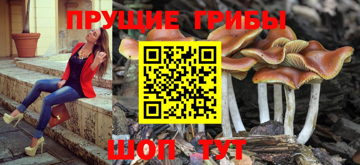 Йошкар-Ола  Галлюциногенные грибы Magic Shrooms  Вход с VPN 
