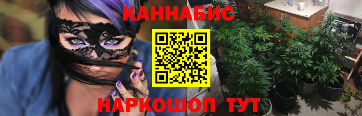 Бошки Шишки SATIVA & INDICA  Конопля конопля  Вход с VPN  Йошкар-Ола 